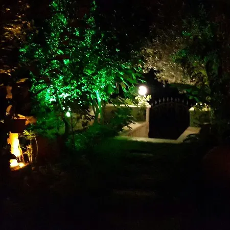 Palmiye Evi