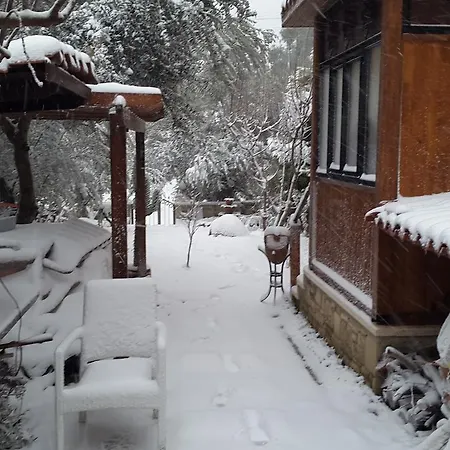 Palmiye Evi Feriehus Ismetpasa